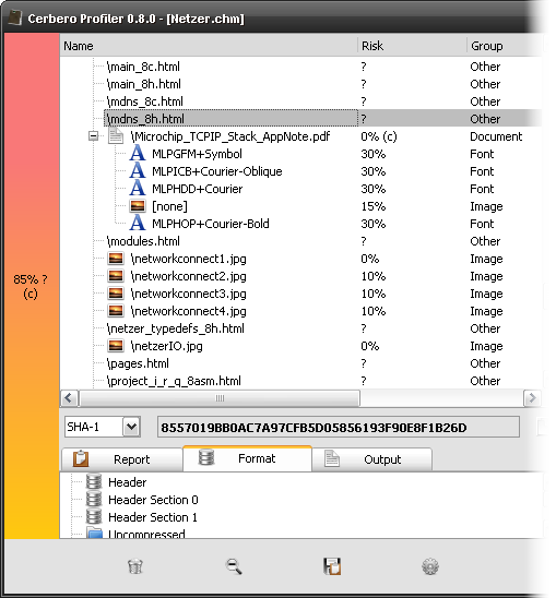 InfoTech Storage Format support